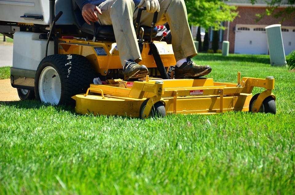 Lawn and Landscaping Services to Keep Your Yard Healthy and Pretty