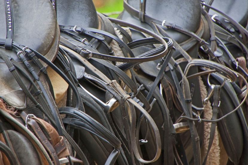 Storage options will help you get the best out of a horse tack room in the garage. 
